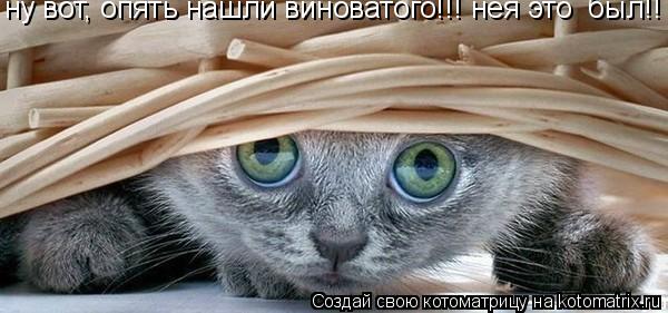 ну вот, опять нашли виноватого!!! нея это был!!... Котоматрица: ну вот, опять нашли виноватого!!! нея это был!!