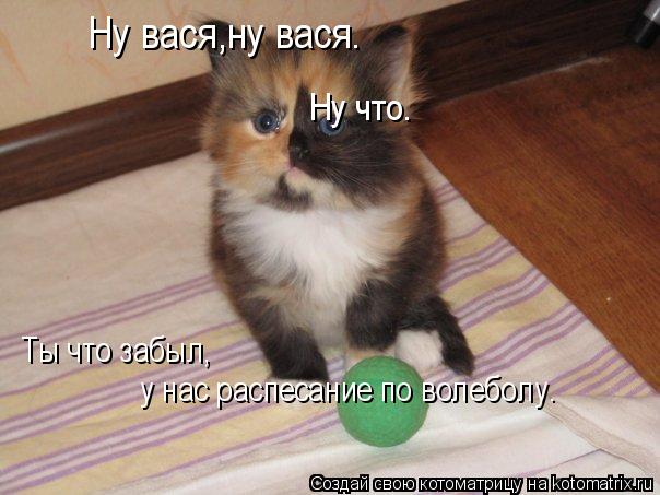 Ну вася,ну вася. Ты что забыл, у нас распесание по волеболу. Ну что.... Котоматрица: Ну вася,ну вася. Ты что забыл, у нас распесание по волеболу. Ну что.
