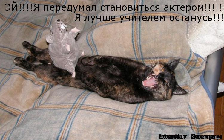 ЭЙ!!!!Я передумал становиться актером!!!!! Я лучше учителем останусь!!!... Котоматрица: ЭЙ!!!!Я передумал становиться актером!!!!! Я лучше учителем останусь!!!