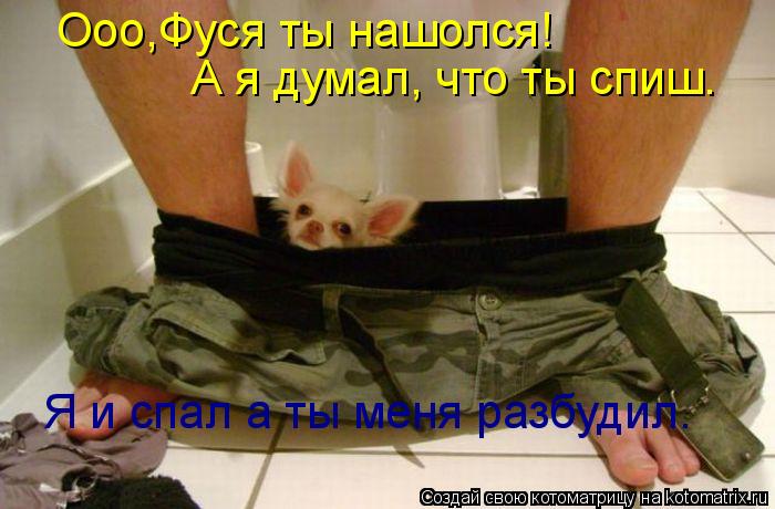 Ооо,Фуся ты нашолся! А я думал, что ты спиш. Я и спал а ты меня разбудил.... Котоматрица: Ооо,Фуся ты нашолся! А я думал, что ты спиш. Я и спал а ты меня разбудил.