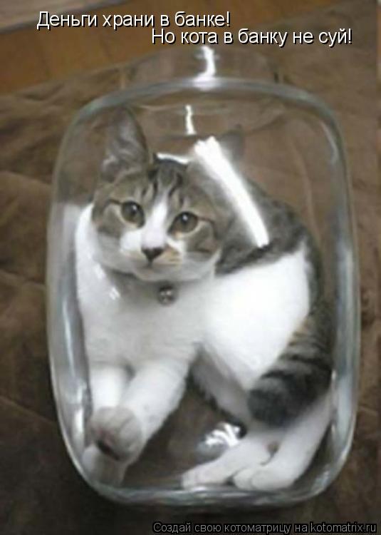 Деньги храни в банке! Но кота в банку не суй!... Котоматрица: Деньги храни в банке! Но кота в банку не суй!