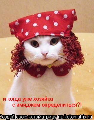 и когда уже хозяйка с имиджем определиться?!... Котоматрица: и когда уже хозяйка с имиджем определиться?!