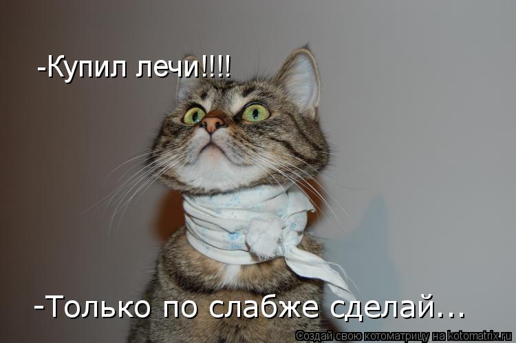 -Купил лечи!!!! -Только по слабже сделай...... Котоматрица: -Купил лечи!!!! -Только по слабже сделай...