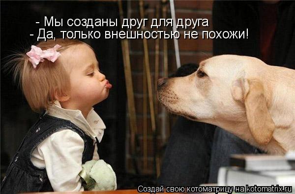 - Мы созданы друг для друга - Мы созданы друг для друга - Да, только внешностью не похожи!... Котоматрица: - Мы созданы друг для друга - Мы созданы друг для друга - Да, только внешностью не похожи!