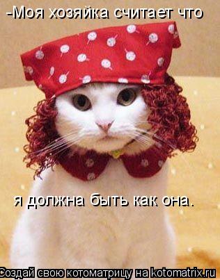 -Моя хозяйка считает что я должна быть как она.... Котоматрица: -Моя хозяйка считает что я должна быть как она.