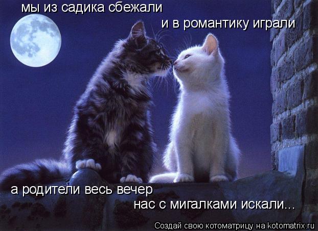 Котоматрица: мы из садика сбежали и в романтику играли а родители весь вечер нас с мигалками искали...