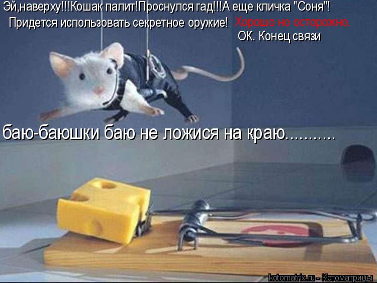 Придется использовать секретное оружие! Хорошо но осторожно. ОК. Конец связи Эй,наверху!!!Кошак палит... Котоматрица: Придется использовать секретное оружие! Хорошо но осторожно. ОК. Конец связи Эй,наверху!!!Кошак палит!Проснулся гад!!!А еще кличка "Соня"! баю-