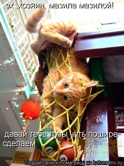 эх ,хозяин, мазила мазилой! давай тебе лузы чуть пошире сделаем... Котоматрица: эх ,хозяин, мазила мазилой! давай тебе лузы чуть пошире сделаем