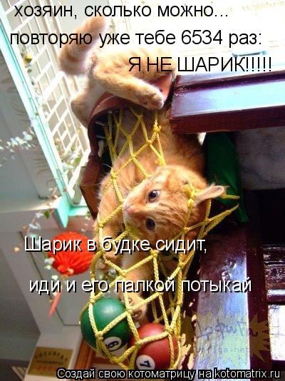 Котоматрица: хозяин, сколько можно... повторяю уже тебе 6534 раз: Я НЕ ШАРИК!!!!! Шарик в будке сидит, иди и его палкой потыкай