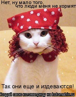 Котоматрица: Так они еще и издеваются! Нет, ну мало того,   что люди меня не кормят,