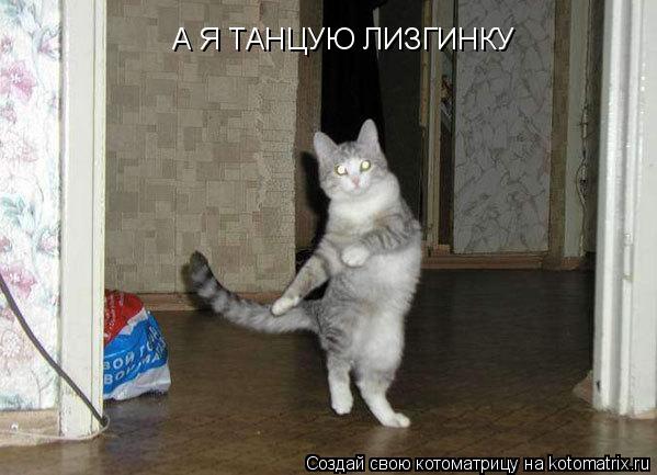 Котоматрица: А Я ТАНЦУЮ ЛИЗГИНКУ