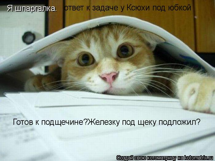 Котоматрица: ответ к задаче у Ксюхи под юбкой Готов к подщечине?Железку под щеку подложил? Я шпаргалка.