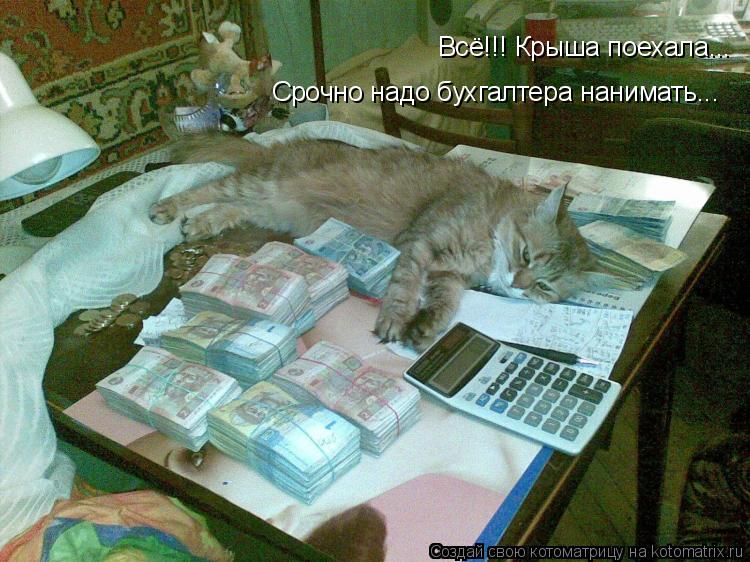 Котоматрица: Всё!!! Крыша поехала...   Срочно надо бухгалтера нанимать...
