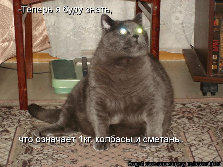 Котоматрица: -Теперь я буду знать, что означает 1кг. колбасы и сметаны.