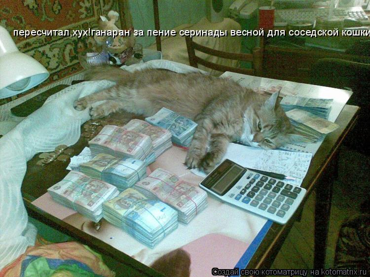 Котоматрица: пересчитал,хух!ганаран за пение серинады весной для соседской кошки!