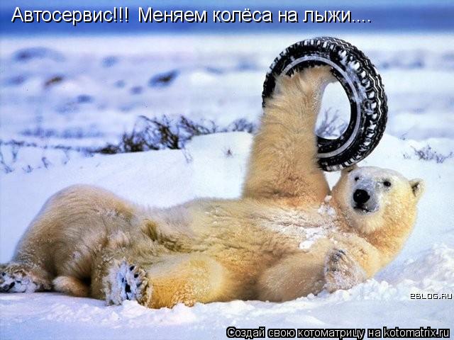 Автосервис!!! Меняем колёса на лыжи....... Котоматрица: Автосервис!!! Меняем колёса на лыжи....