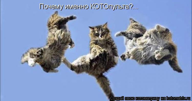 Котоматрица: Почему именно КОТОпульта?...
