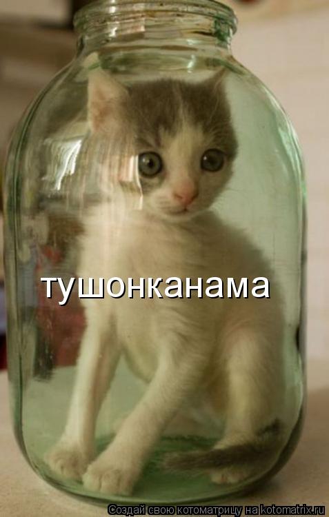 тушонканама... Котоматрица: тушонканама