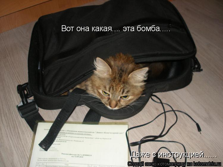 Вот она какая.... эта бомба..... Даже с инструкцией......... Котоматрица: Вот она какая.... эта бомба..... Даже с инструкцией......