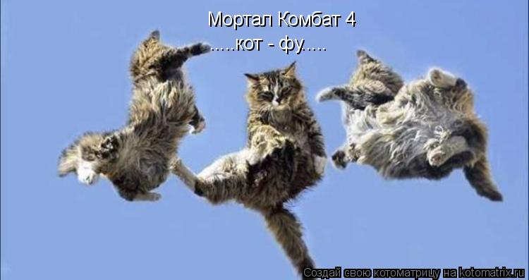 Мортал Комбат 4 .....кот - фу........ Котоматрица: Мортал Комбат 4 .....кот - фу.....