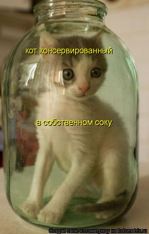 кот консервированный в собственном соку. в собственном соку.... Котоматрица: кот консервированный в собственном соку. в собственном соку.