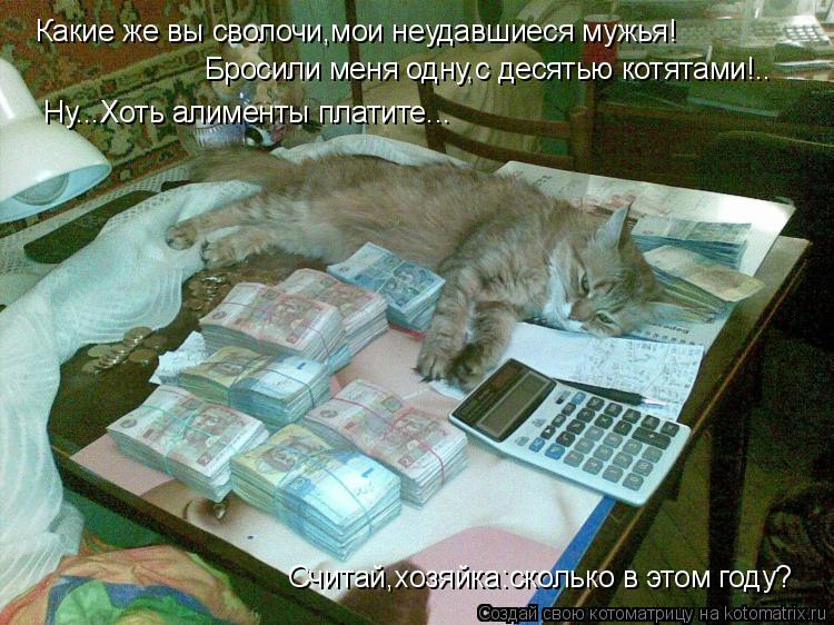 Какие же вы сволочи,мои неудавшиеся мужья! Бросили меня одну,с десятью котятами!.. Ну...Хоть алименты... Котоматрица: Какие же вы сволочи,мои неудавшиеся мужья! Бросили меня одну,с десятью котятами!.. Ну...Хоть алименты платите... Считай,хозяйка:сколько в этом