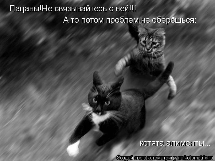 Котоматрица: Пацаны!Не связывайтесь с ней!!! А то потом проблем не оберёшься: котята,алименты...