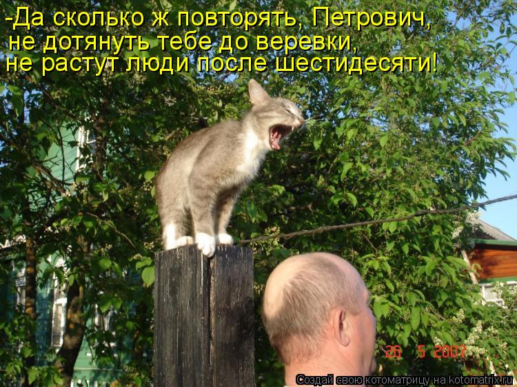 Котоматрица: -Да сколько ж повторять, Петрович,  не дотянуть тебе до веревки,  не растут люди после шестидесяти!
