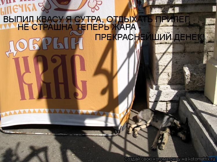 Котоматрица: ВЫПИЛ КВАСУ Я СУТРА, ОТДЫХАТЬ ПРИЛЕГ, НЕ СТРАШНА ТЕПЕРЬ ЖАРА - ПРЕКРАСНЕЙШИЙ ДЕНЕК!
