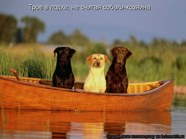 Котоматрица: Трое в лодке, не считая собаки-хозяина
