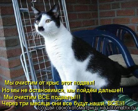 Котоматрица: Мы очистим от крыс этот подвал!  Но мы не остановимся, мы пойдём дальше!! Мы очистим ВСЕ подвалы!!!  Через три месяца они все будут наши, ВСЕ!!!