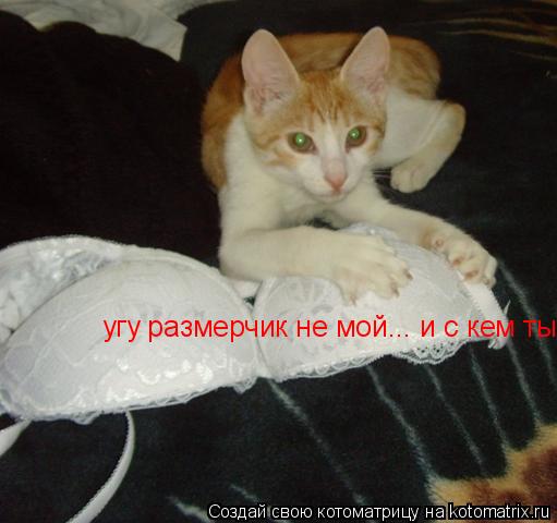 Котоматрица: угу размерчик не мой... и с кем ты был подлец?