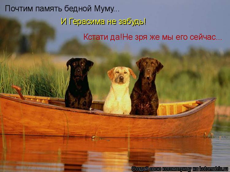 Котоматрица: Почтим память бедной Муму... И Герасима не забудь! Кстати да!Не зря же мы его сейчас...