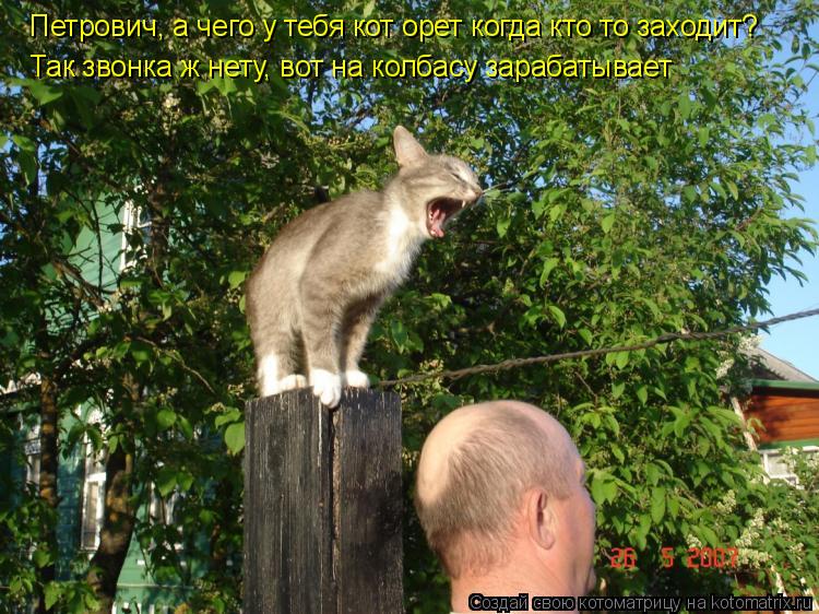 Петрович, а чего у тебя кот орет когда кто то заходит? Так звонка ж нету, вот на колбасу зарабатывает... Котоматрица: Петрович, а чего у тебя кот орет когда кто то заходит? Так звонка ж нету, вот на колбасу зарабатывает