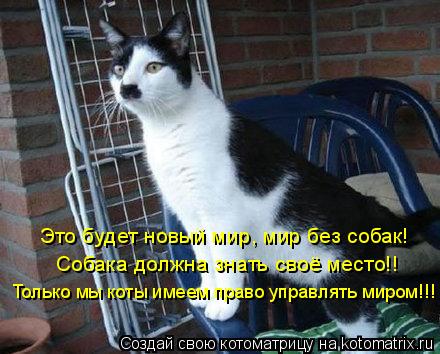 Котоматрица: Это будет новый мир, мир без собак!  Собака должна знать своё место!!  Только мы коты имеем право управлять миром!!!