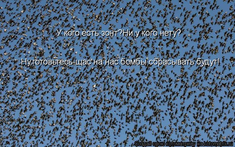 У кого есть зонт?Ни у кого нету? Ну,готовьтесь-щас на нас бомбы сбрасывать будут!... Котоматрица: У кого есть зонт?Ни у кого нету? Ну,готовьтесь-щас на нас бомбы сбрасывать будут!