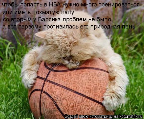 Котоматрица: чтобы попасть в НБА нужно много тренироваться или иметь лохматую лапу со вторым у Барсика проблем не было, а вот первому противилась его пр