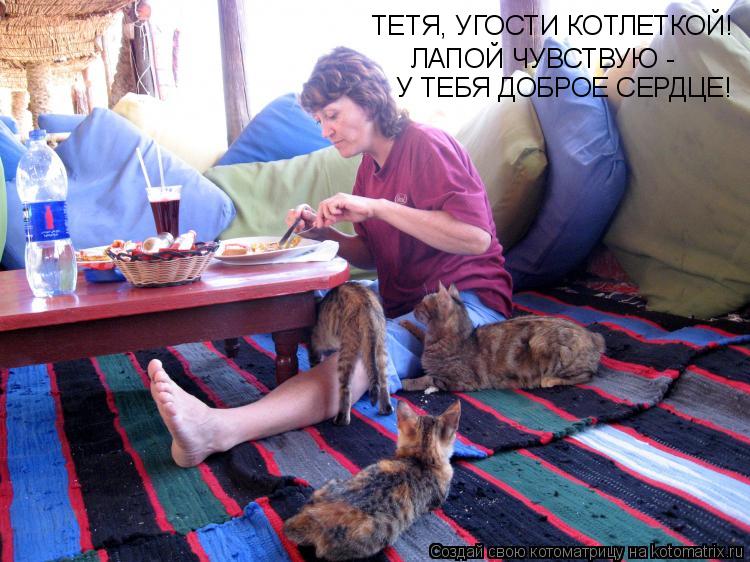 Котоматрица: ТЕТЯ, УГОСТИ КОТЛЕТКОЙ! ЛАПОЙ ЧУВСТВУЮ -  У ТЕБЯ ДОБРОЕ СЕРДЦЕ!