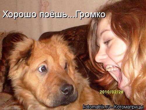 Хорошо поёшь...Громко... Котоматрица: Хорошо поёшь...Громко