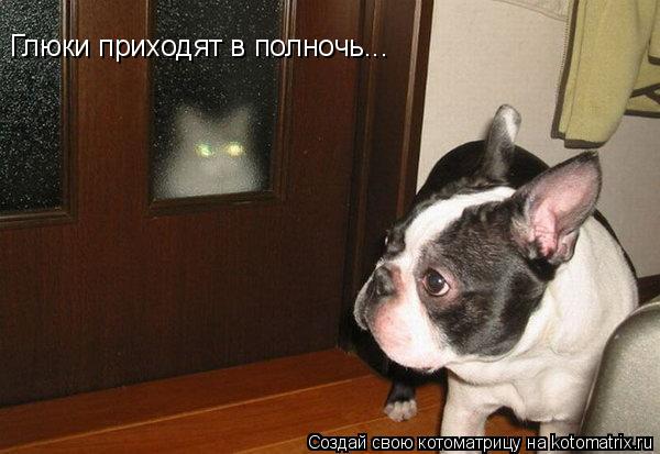 Котоматрица: Глюки приходят в полночь...