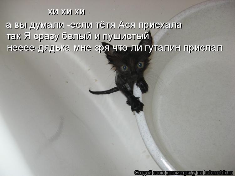 Котоматрица: а вы думали -если тётя Ася приехала так Я сразу белый и пушистый нееее-дядька мне зря что ли гуталин прислал хи хи хи