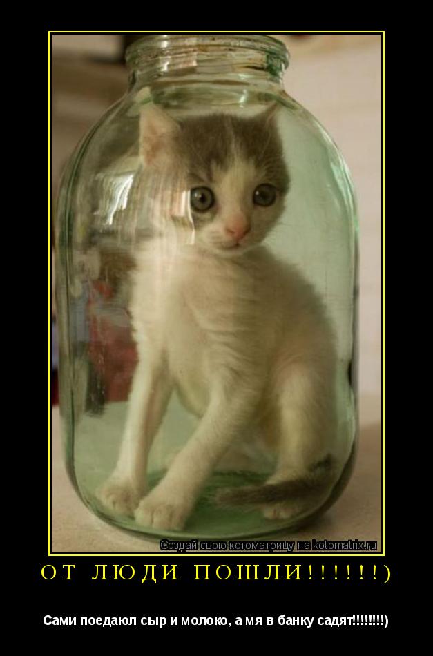 От люди пошли!!!!!!) Сами поедаюл сыр и молоко, а мя в банку садят!!!!!!!!)... Котоматрица: От люди пошли!!!!!!) Сами поедаюл сыр и молоко, а мя в банку садят!!!!!!!!)
