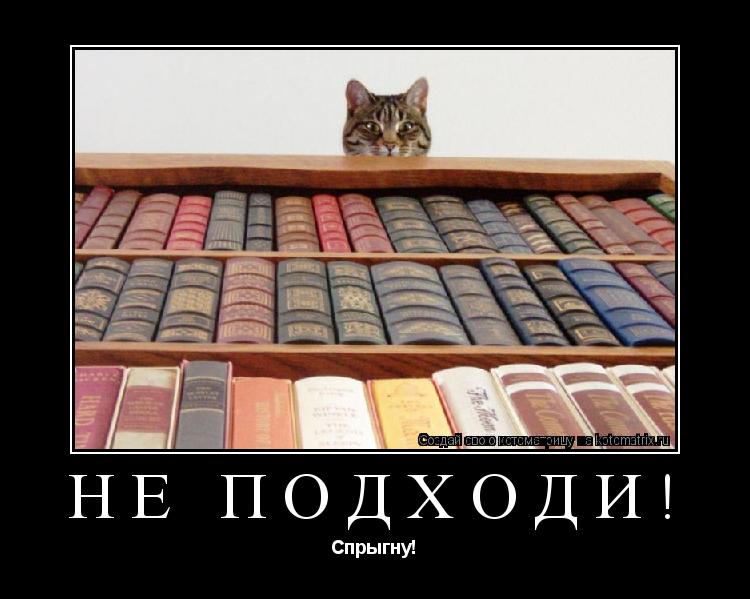 НЕ ПОДХОДИ! Спрыгну!... Котоматрица: НЕ ПОДХОДИ! Спрыгну!