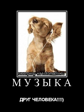 музыка ДРУГ ЧЕЛОВЕКА!!!!)... Котоматрица: музыка ДРУГ ЧЕЛОВЕКА!!!!)