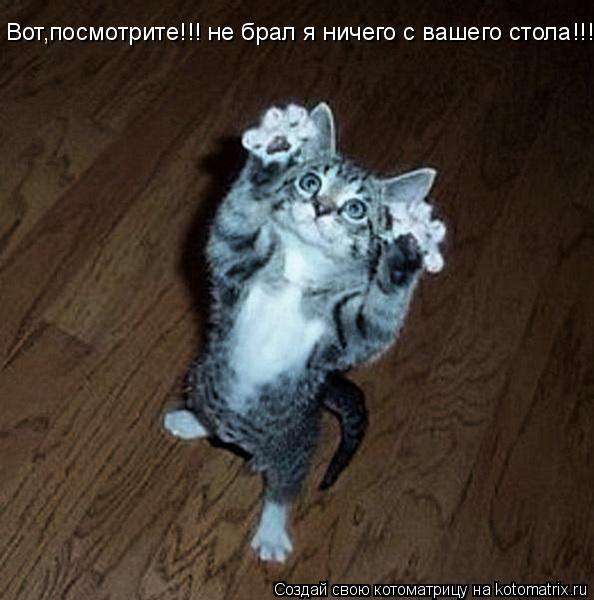 Вот,посмотрите!!! не брал я ничего с вашего стола!!!... Котоматрица: Вот,посмотрите!!! не брал я ничего с вашего стола!!!