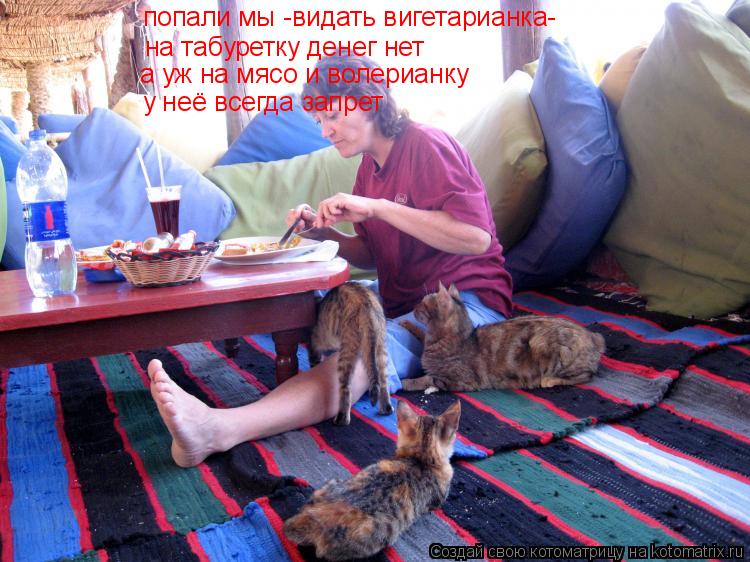 попали мы -видать вигетарианка- на табуретку денег нет а уж на мясо и волерианку у неё всегда запрет... Котоматрица: попали мы -видать вигетарианка- на табуретку денег нет а уж на мясо и волерианку у неё всегда запрет