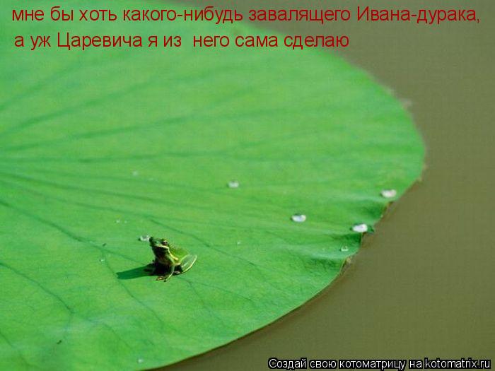 мне бы хоть какого-нибудь завалящего Ивана-дурака, а уж Царевича я из него сама сделаю... Котоматрица: мне бы хоть какого-нибудь завалящего Ивана-дурака, а уж Царевича я из него сама сделаю