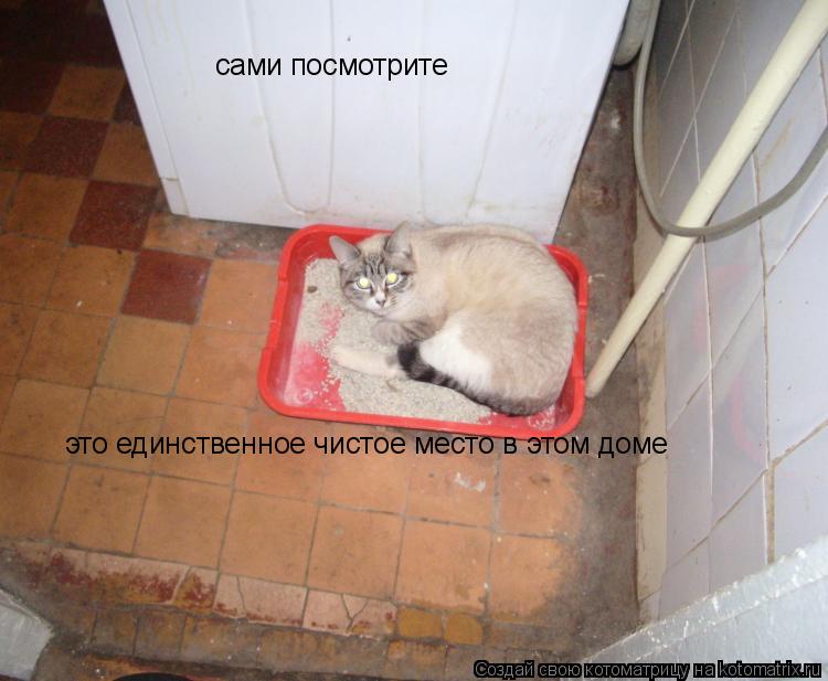 сами посмотрите это единственное чистое место в этом доме... Котоматрица: сами посмотрите это единственное чистое место в этом доме