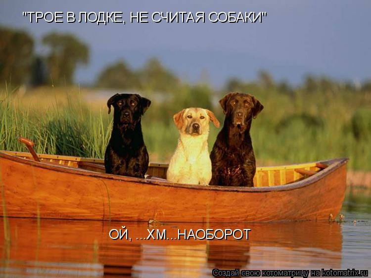 "ТРОЕ В ЛОДКЕ, НЕ СЧИТАЯ СОБАКИ" ОЙ, ...ХМ...НАОБОРОТ... Котоматрица: "ТРОЕ В ЛОДКЕ, НЕ СЧИТАЯ СОБАКИ" ОЙ, ...ХМ...НАОБОРОТ