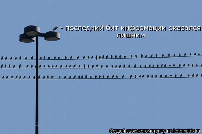 - последний бит информации оказался лишним... Котоматрица: - последний бит информации оказался лишним